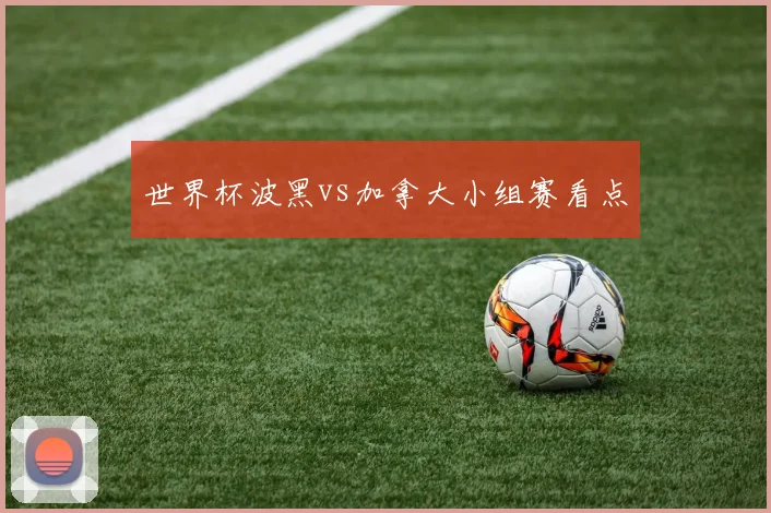 世界杯波黑vs加拿大小组赛看点