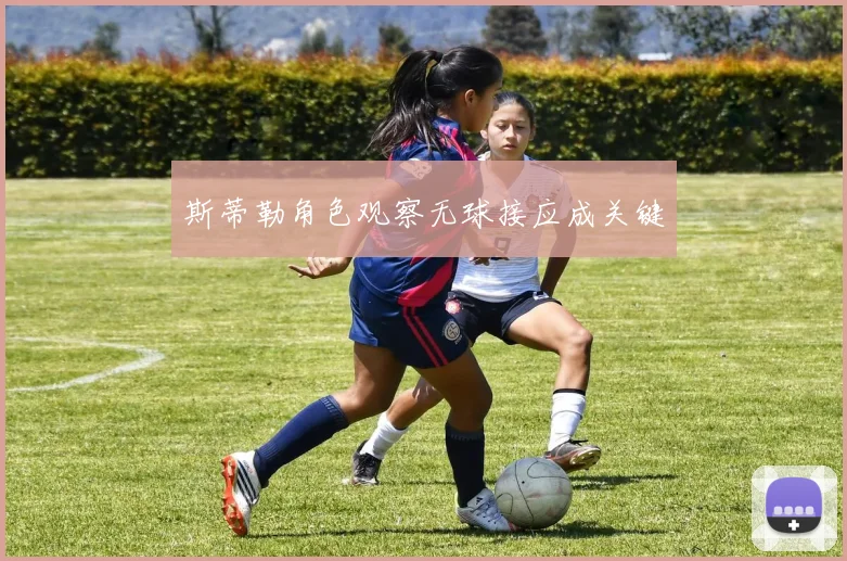 斯蒂勒角色观察无球接应成关键