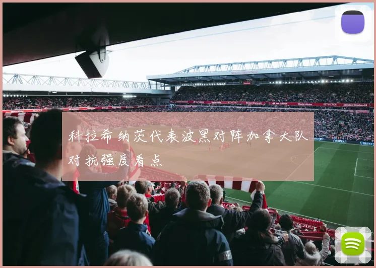 科拉希纳茨代表波黑对阵加拿大队对抗强度看点