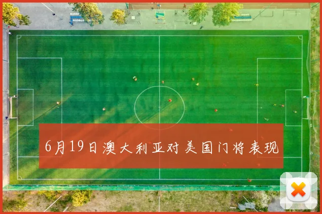 6月19日澳大利亚对美国门将表现