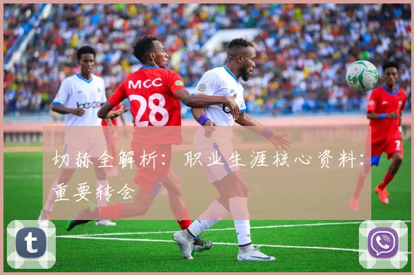 切赫全解析:职业生涯核心资料:重要转会